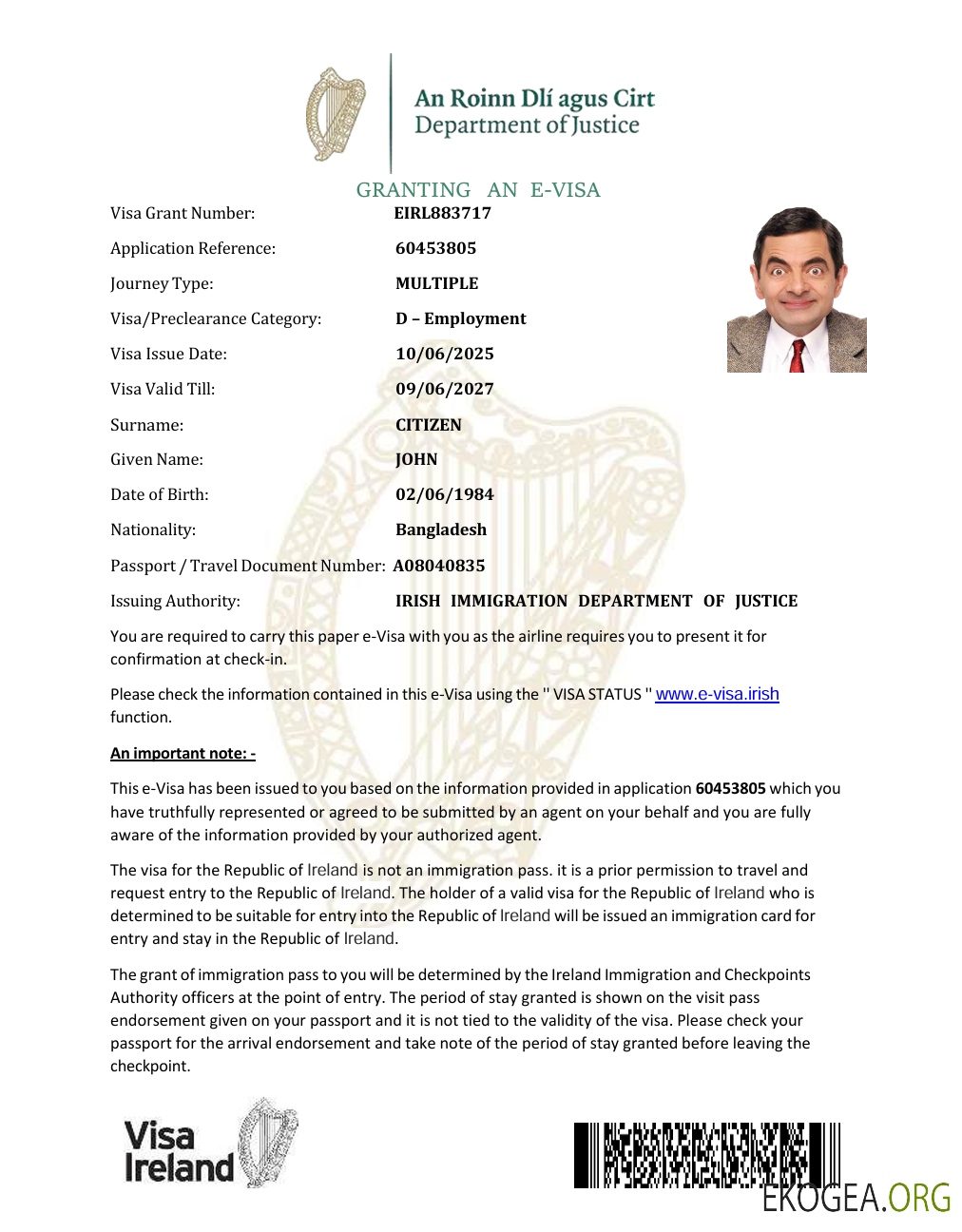 Modèle de visa électronique pour l'Irlande aux formats Word et PDF